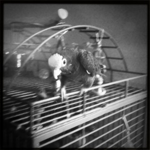 Zoe In Motion